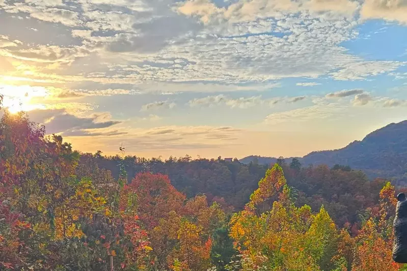 Panoramic Pointe