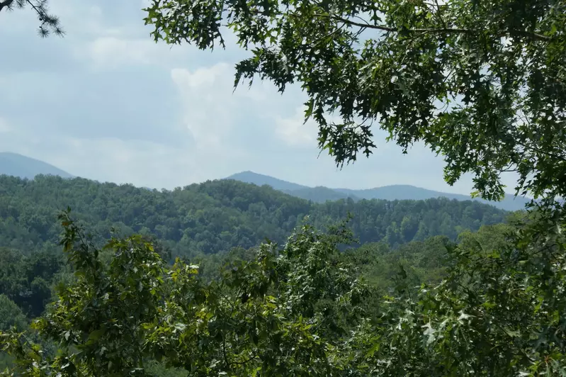 Red Fox Inn