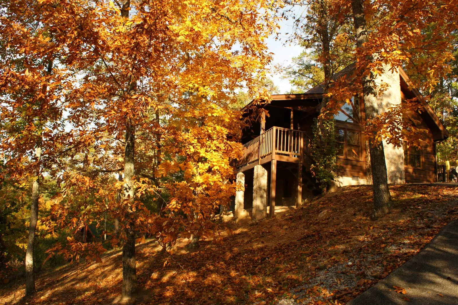Red Fox Inn