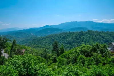 What A View!