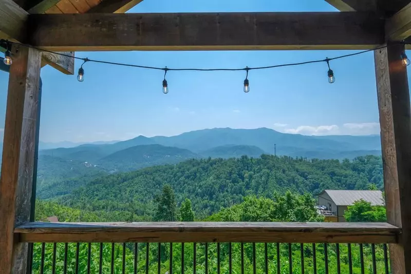 What A View!