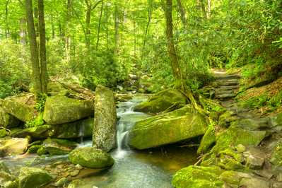 Ramsey Cascades Trail