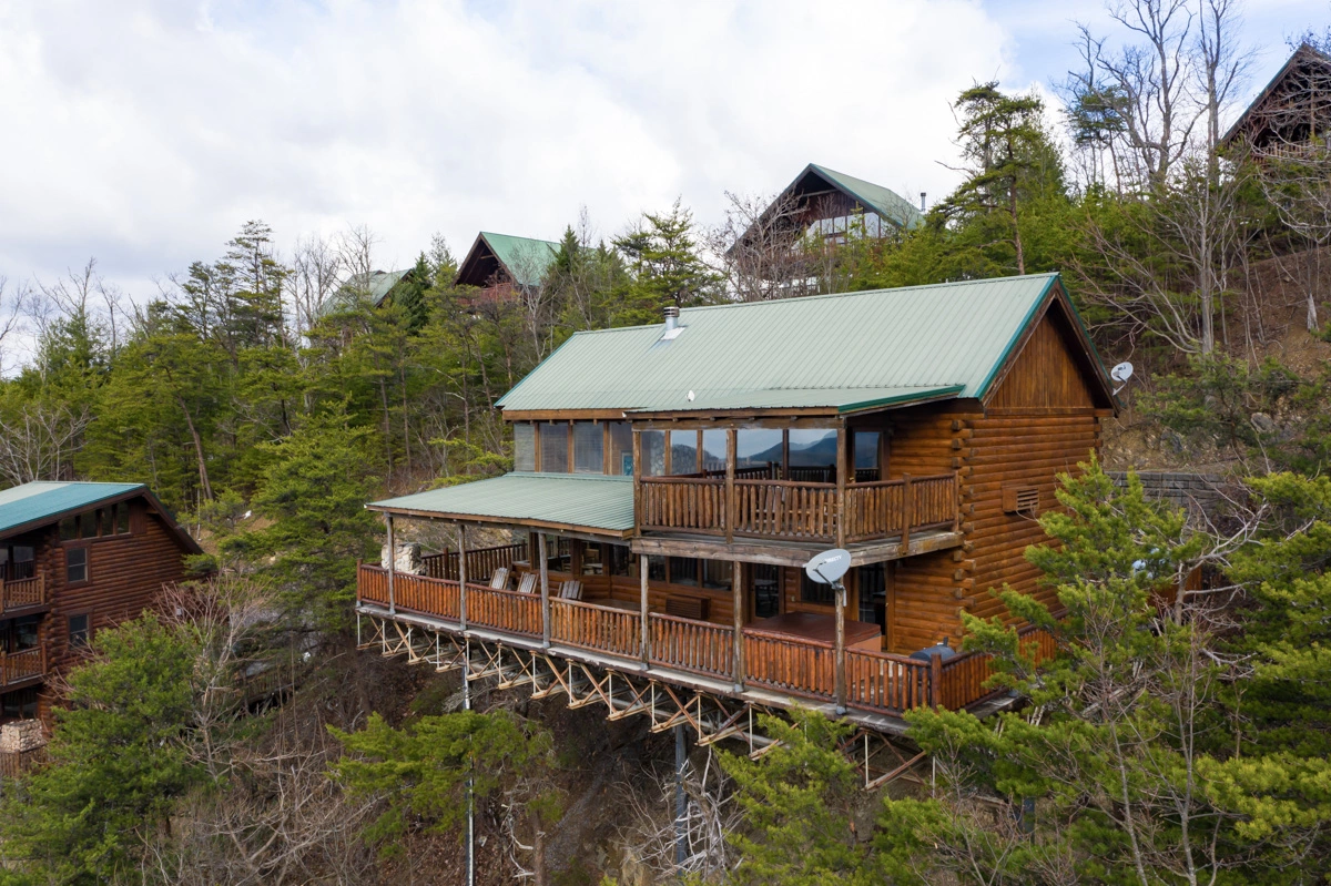 Treetop Oasis #56