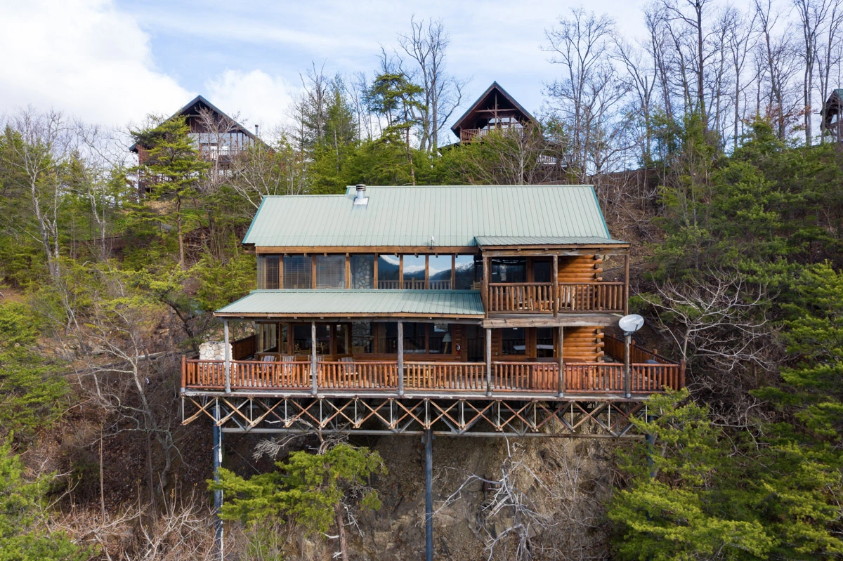 Treetop Oasis #56
