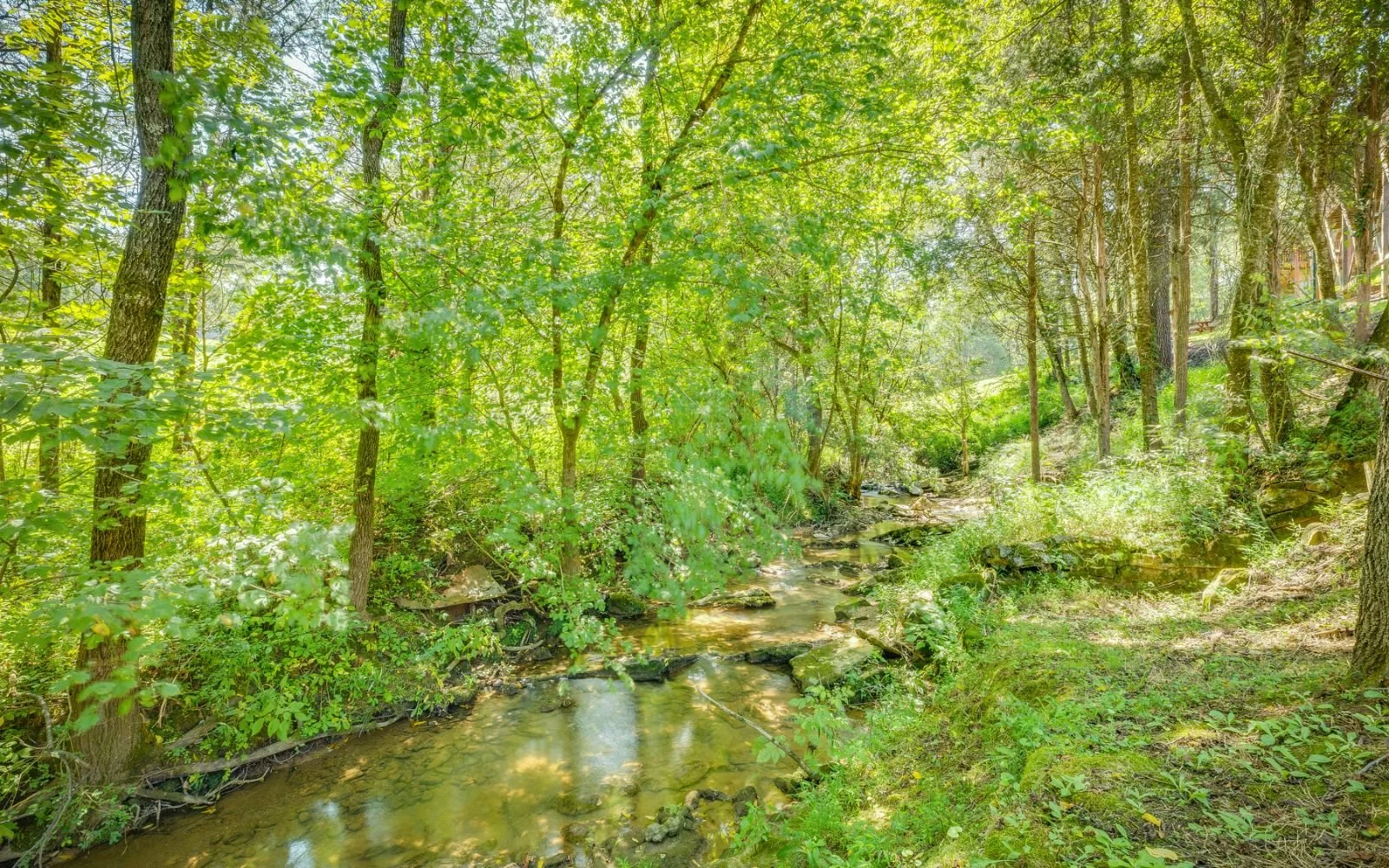 166538632
