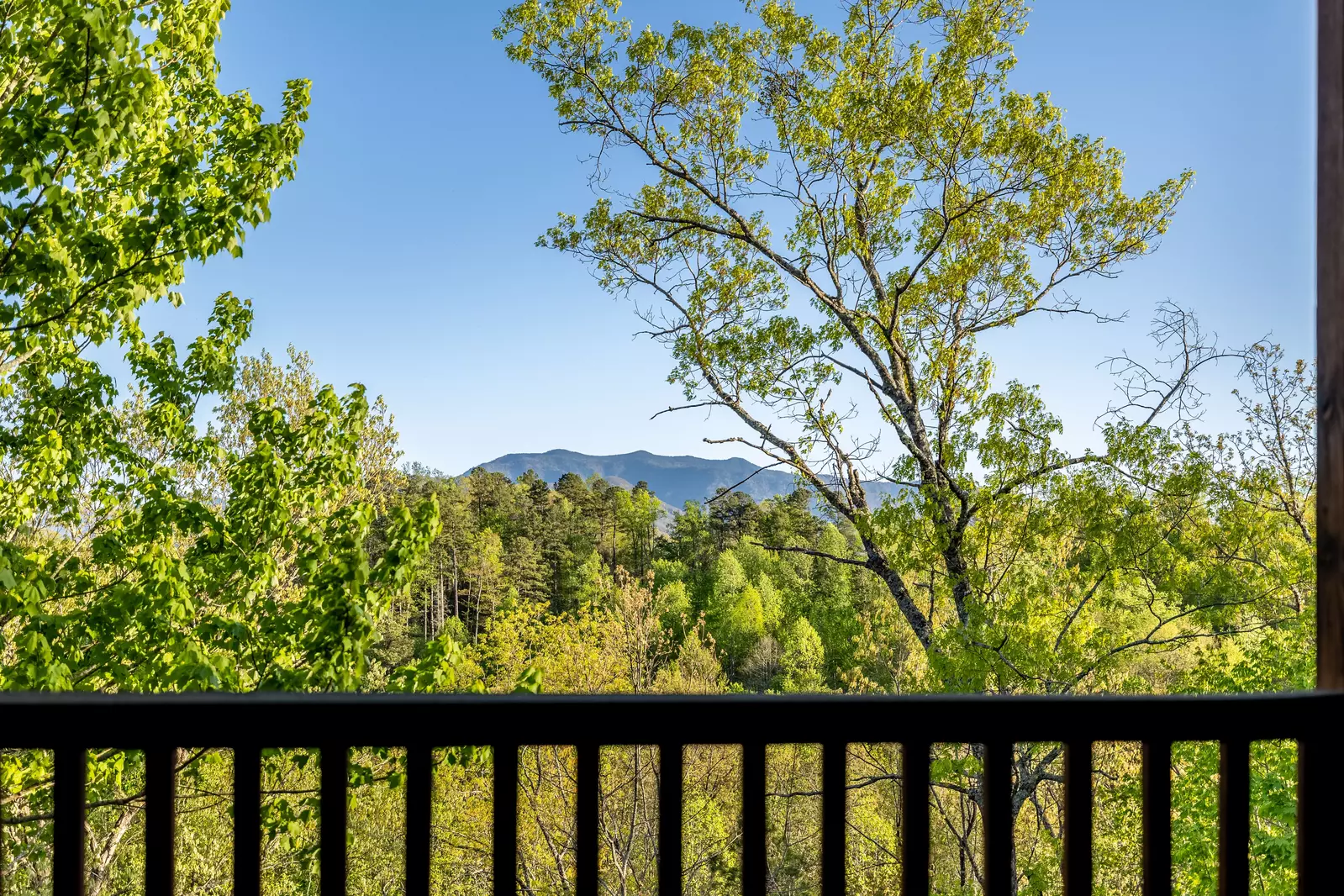 Property image, Interior, of Eagles Nest
