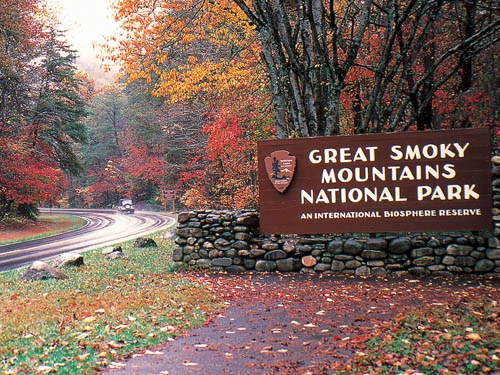 Property image, Interior, of Misty Mountain Lodge