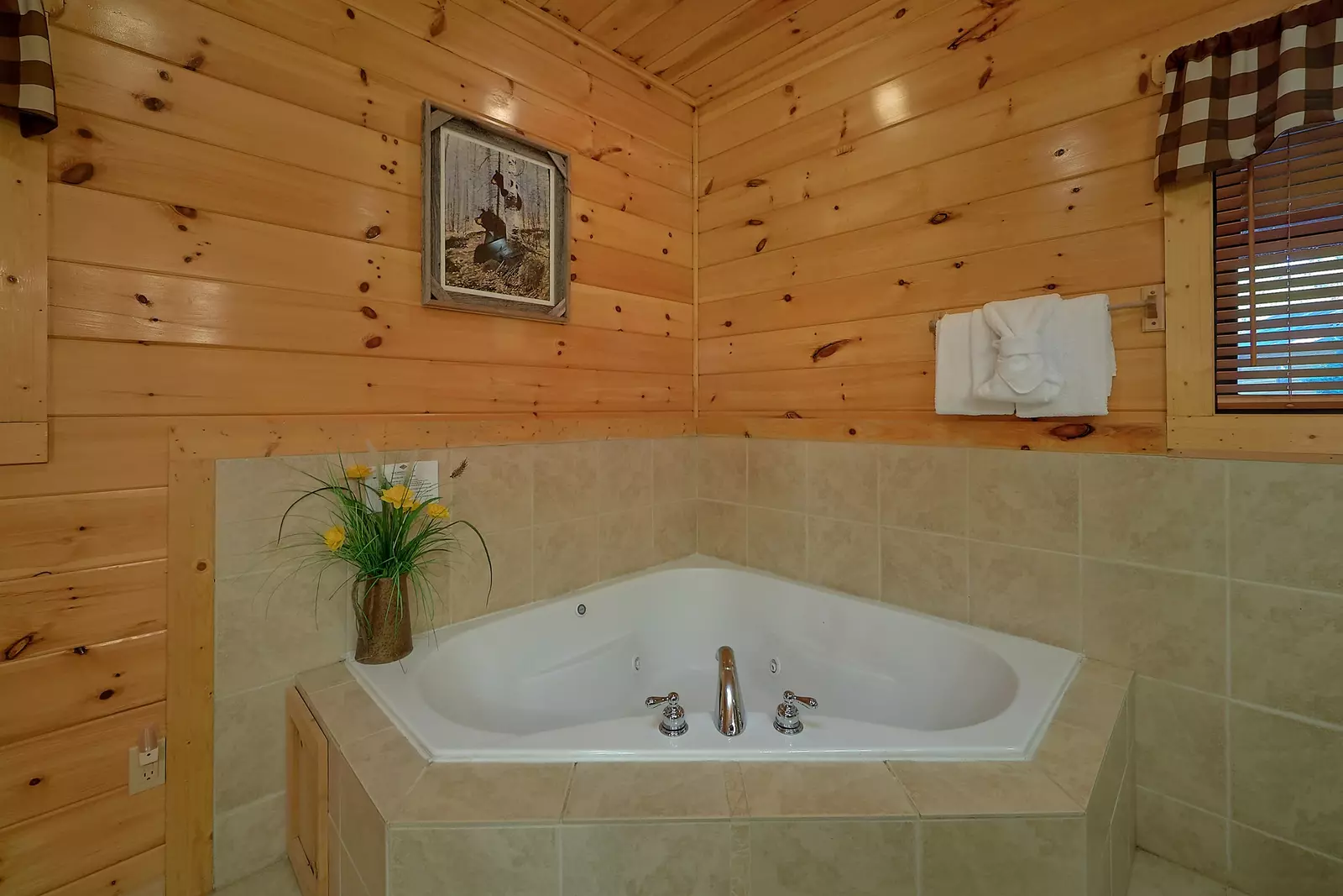 Property image, Interior, of Sunset Chalet