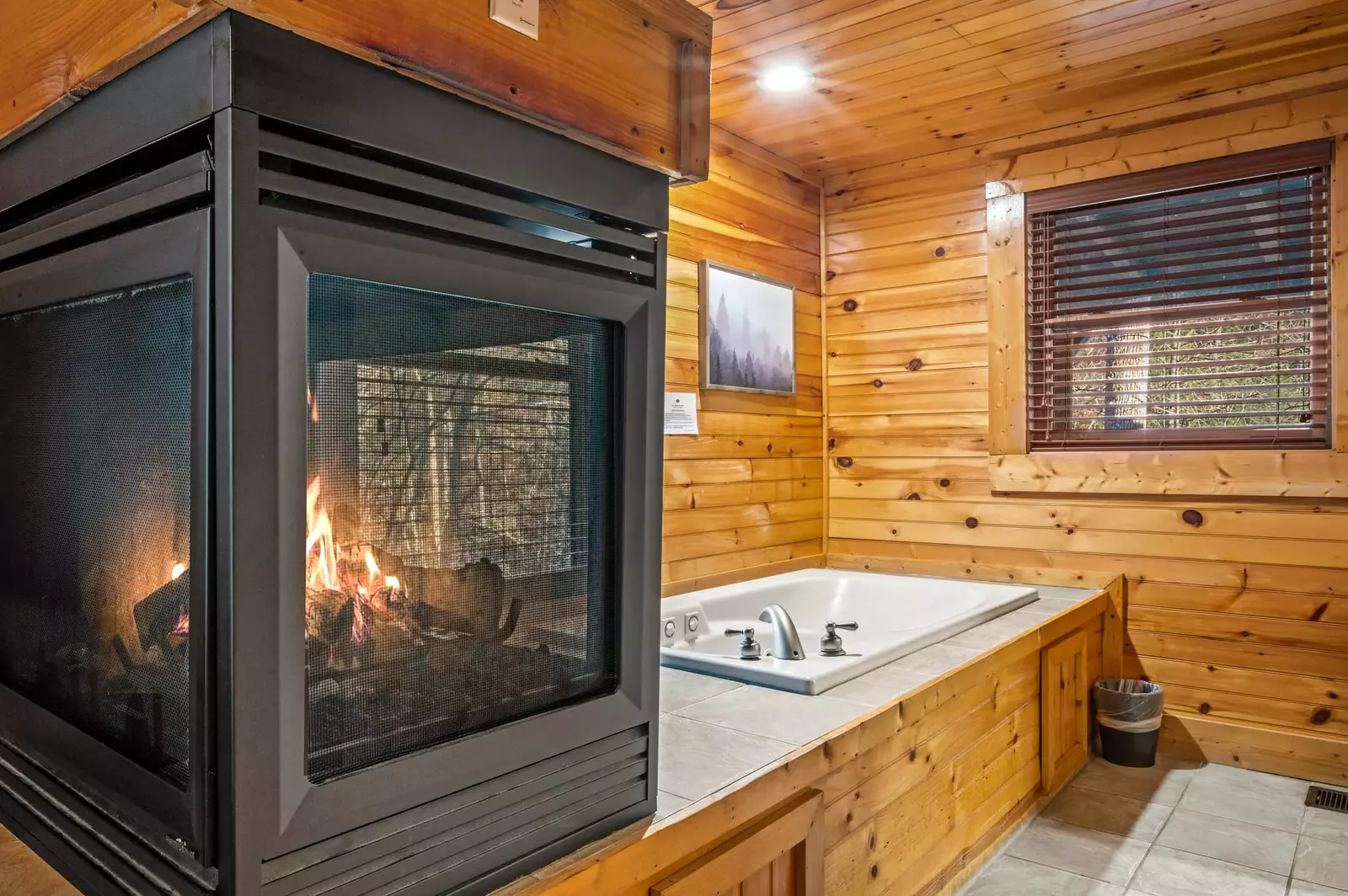 Property image, Interior, of Mountain Laurel