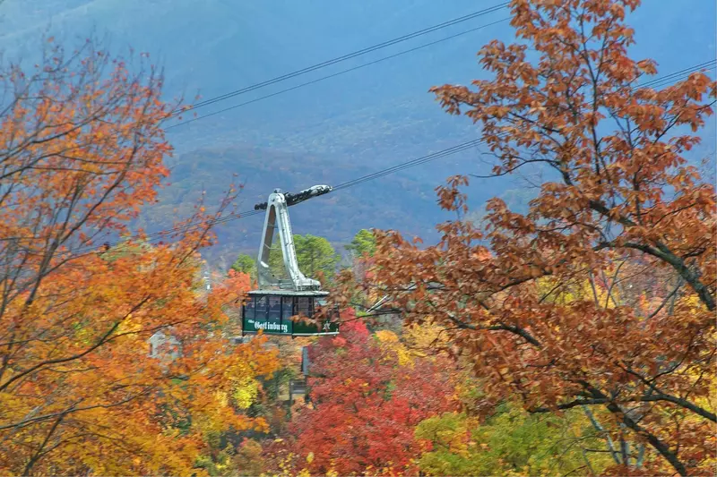 Property image, Interior, of Mountain Glory