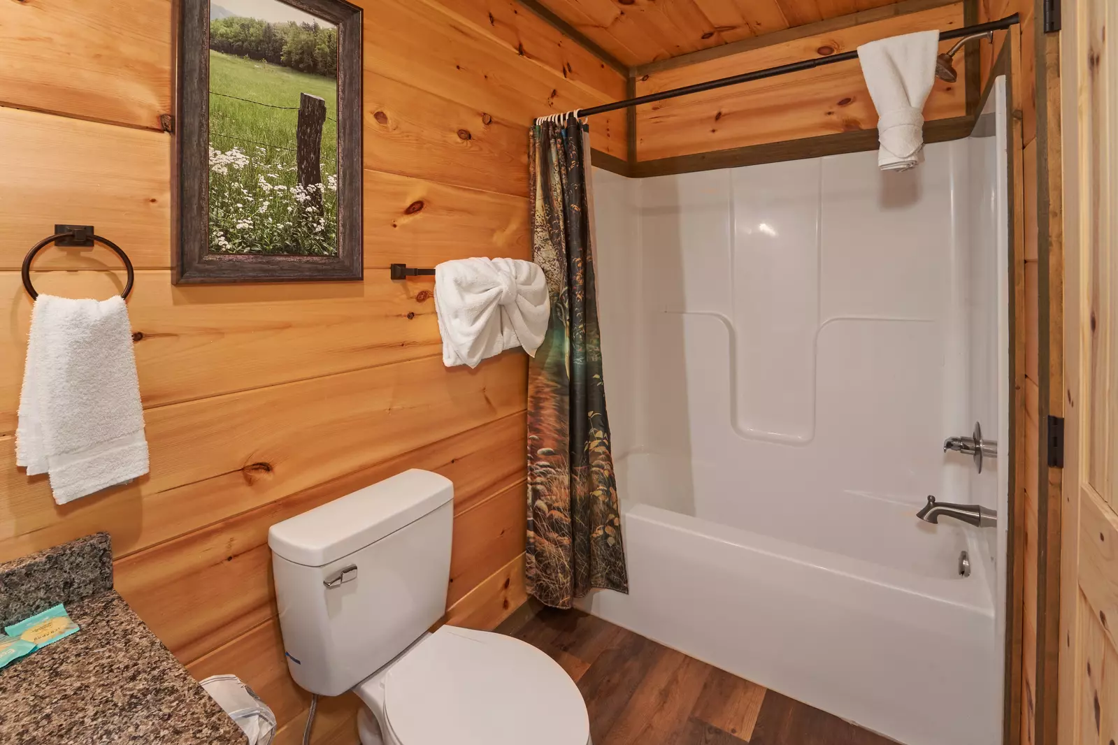 Property image, Interior, of Splashing Elk