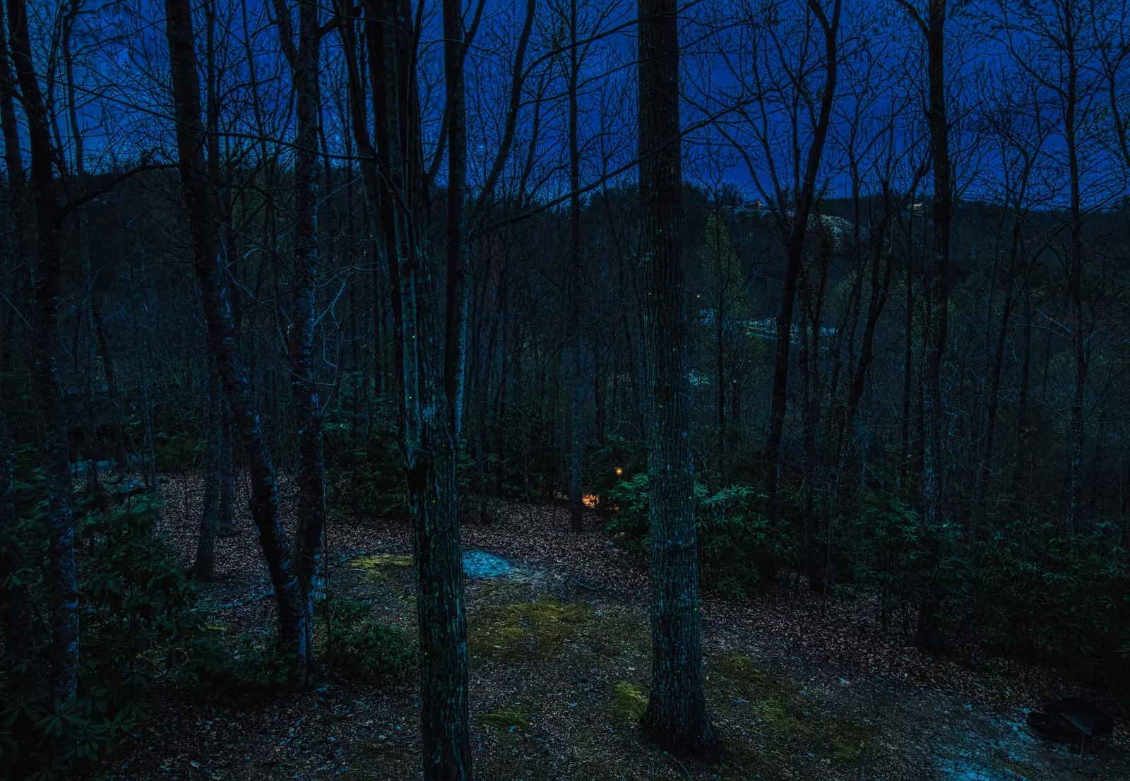 Bearfoots Cozy Cabin - Light display from deck at night