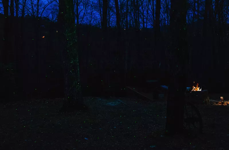 Bearfoots Cozy Cabin - Light display from deck at night