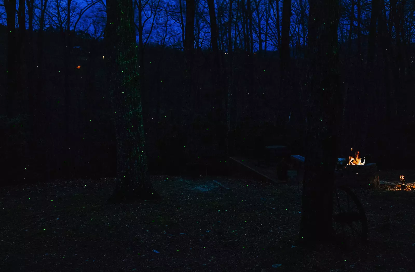 Bearfoots Cozy Cabin - Light display from deck at night