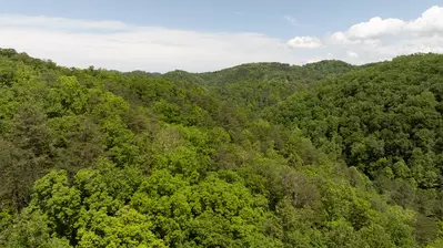 Wears Valley Smoky Mountain Views-Emerald Forest