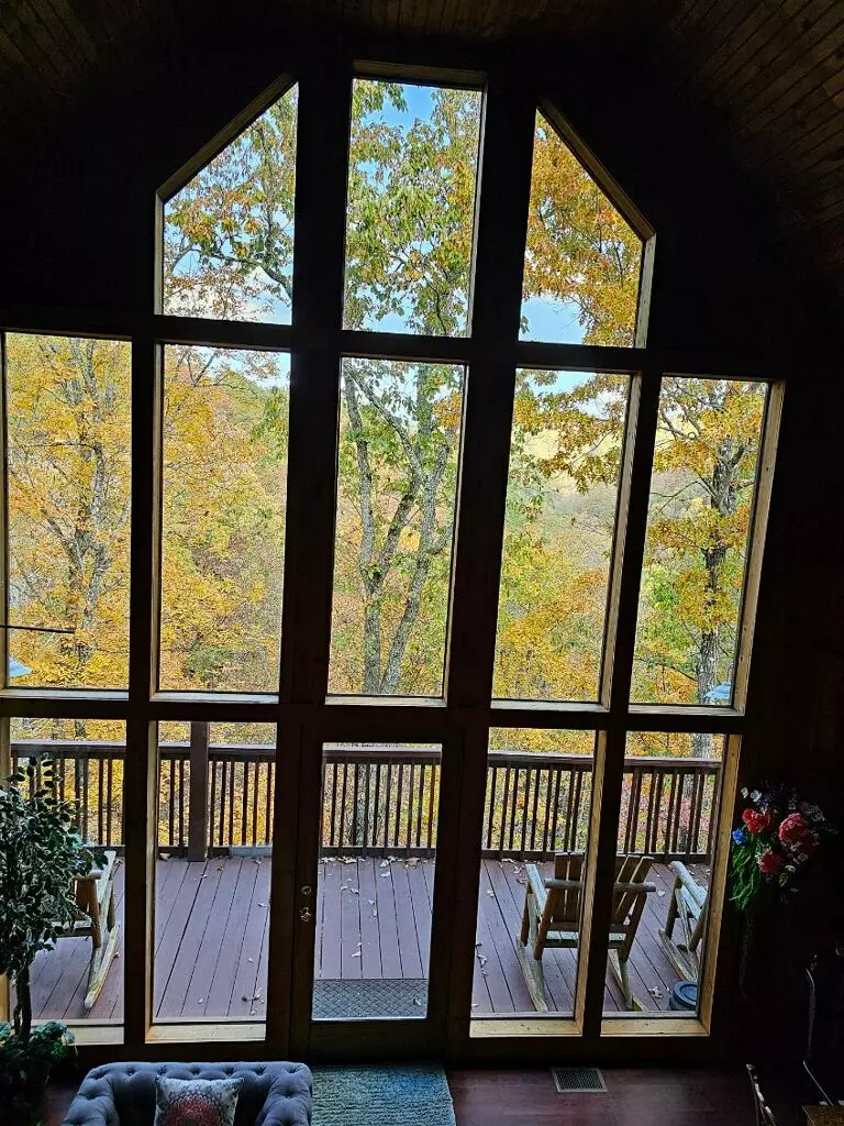 Emerald Forest floor to ceiling windows 