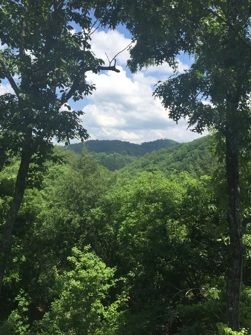 Emerald Forest mountain setting