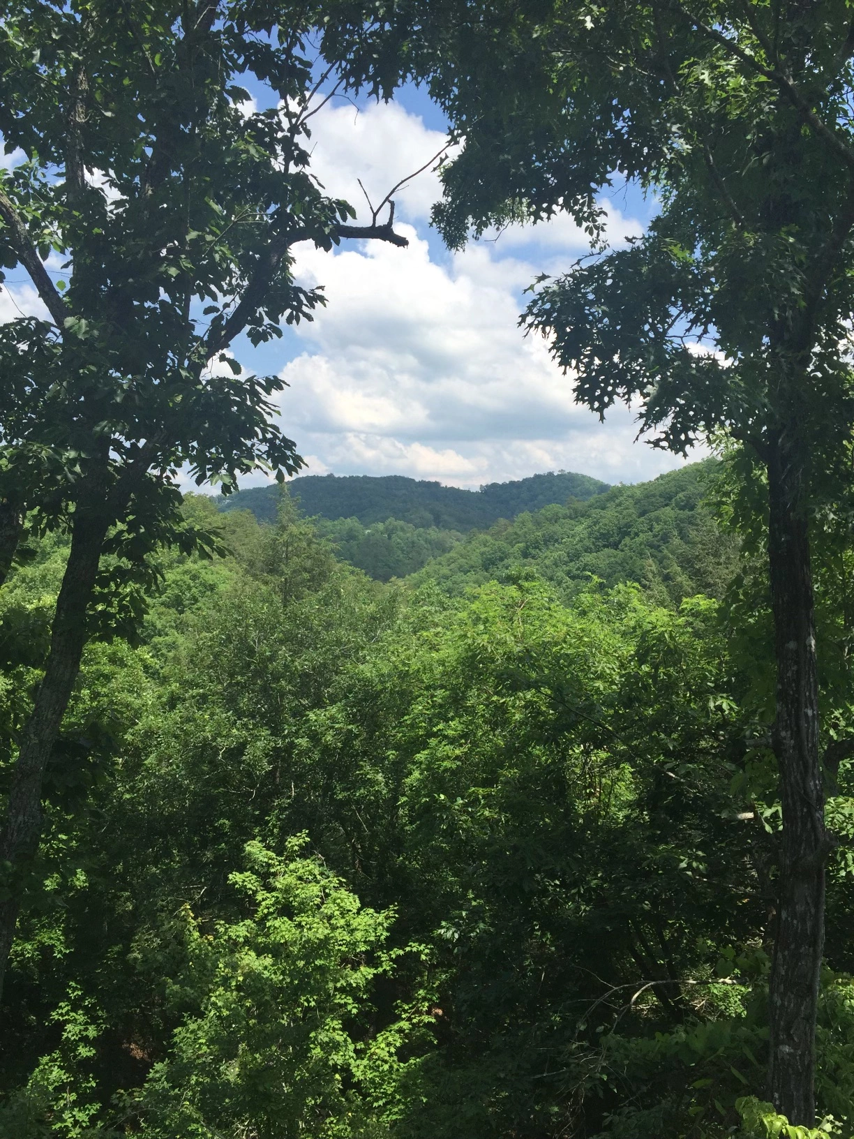 Emerald Forest mountain setting