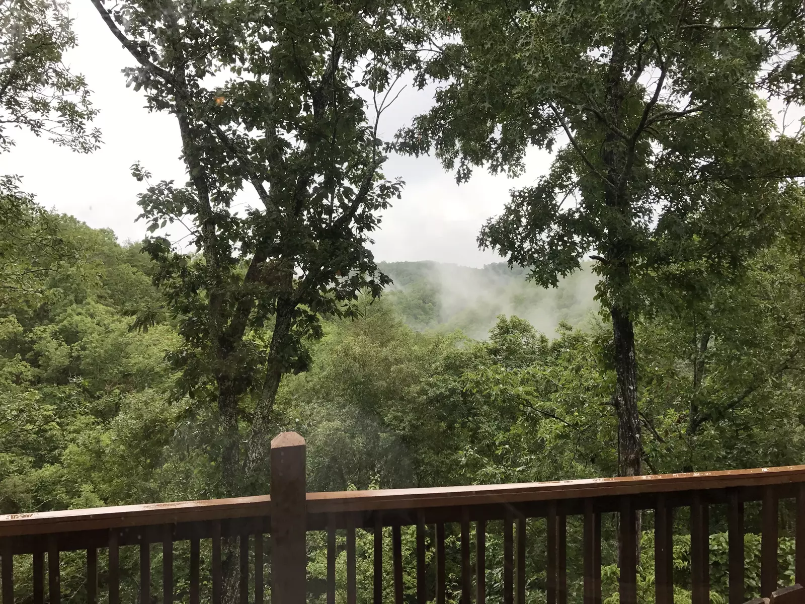Emerald Forest wooded setting