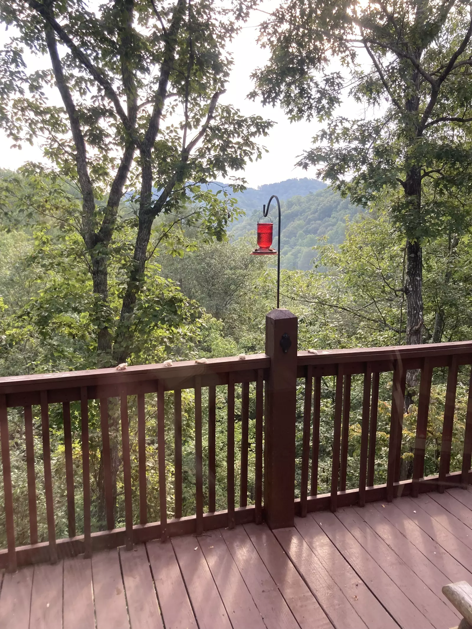 Emerald Forest mountain views