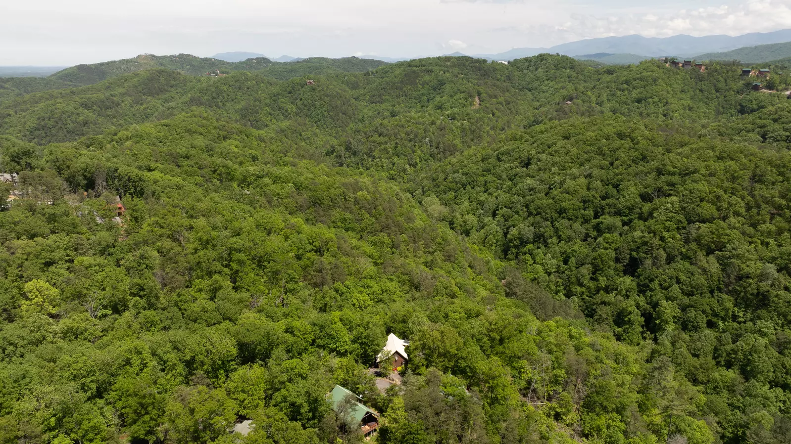 Emerald forest arial view