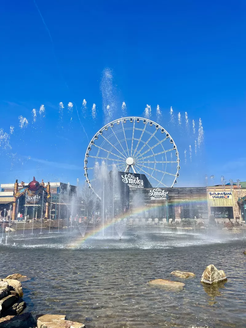 Ferris Wheel at the Island in Pigeon Forge