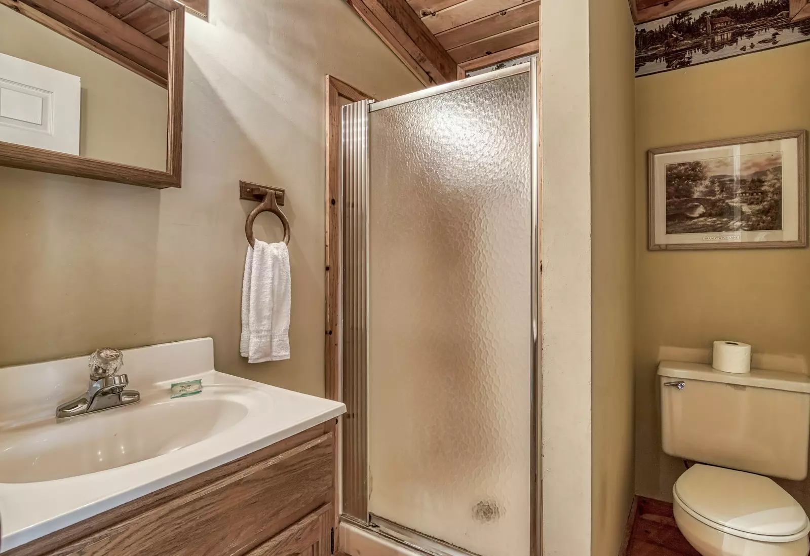 Sweet Mountain Aire - Upper level bathroom with walk-in shower