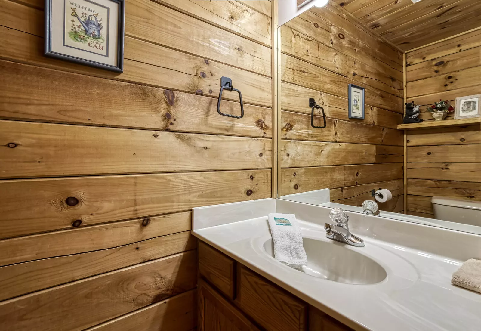 Tennessee Twilight Cabin main level half bath