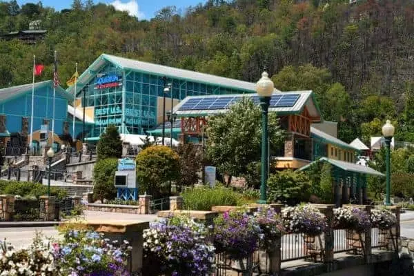 Ripleys-Aquarium-600x400[1]