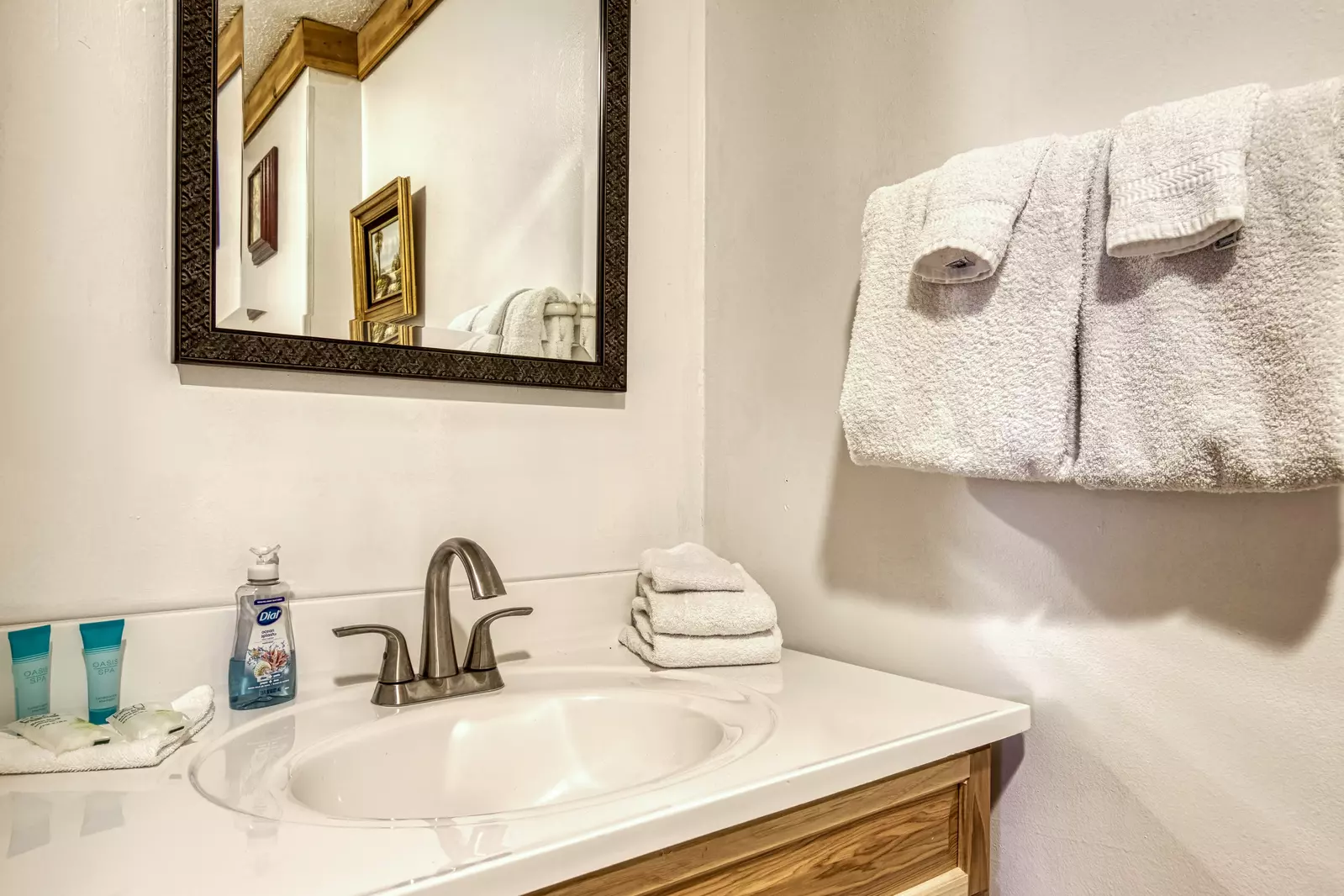Happy Hollow Hideaway lower level bathroom with single vanity