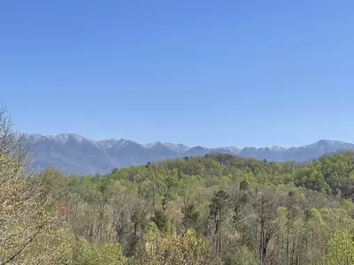 Mountain Vista