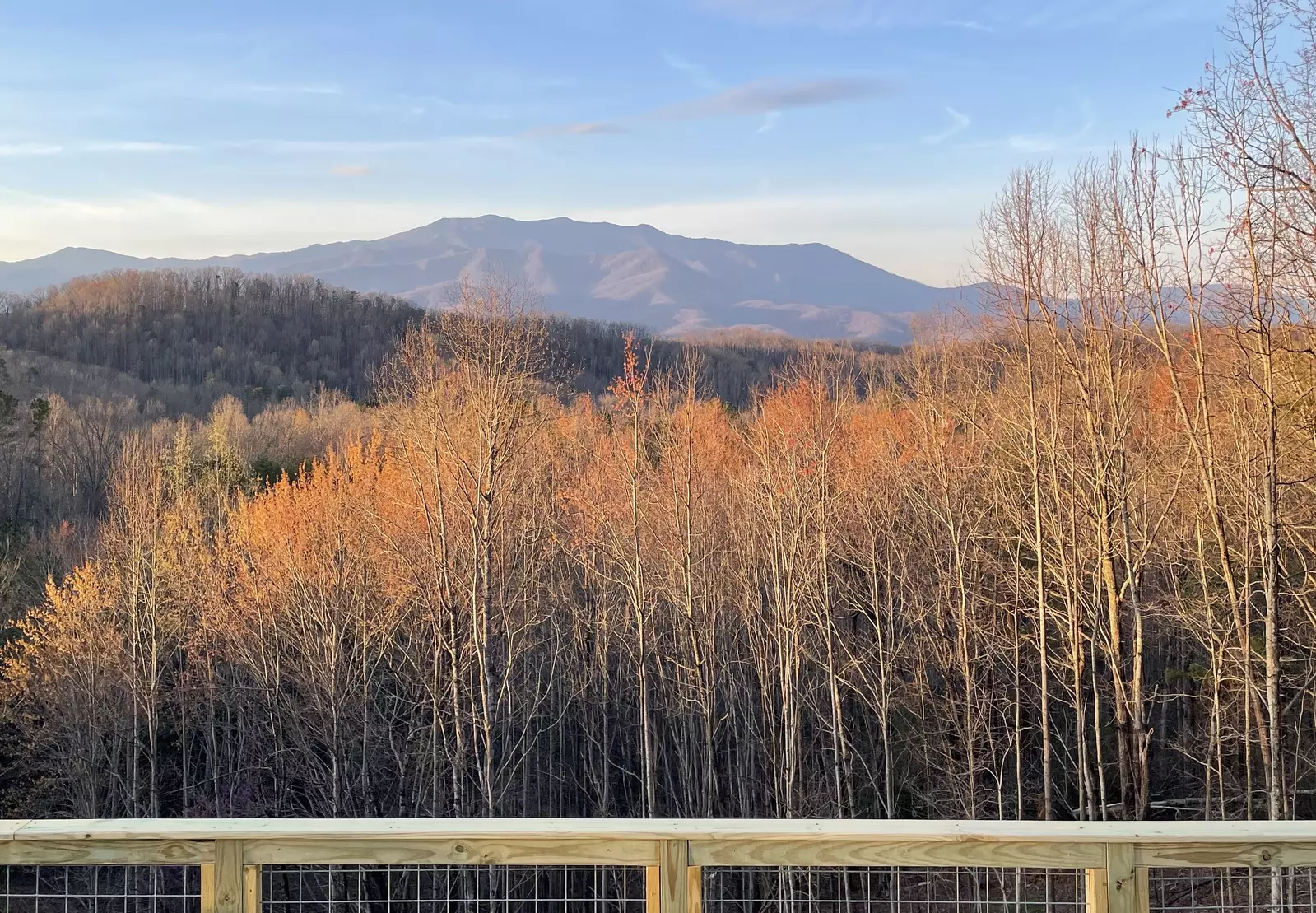 Mountain Vista