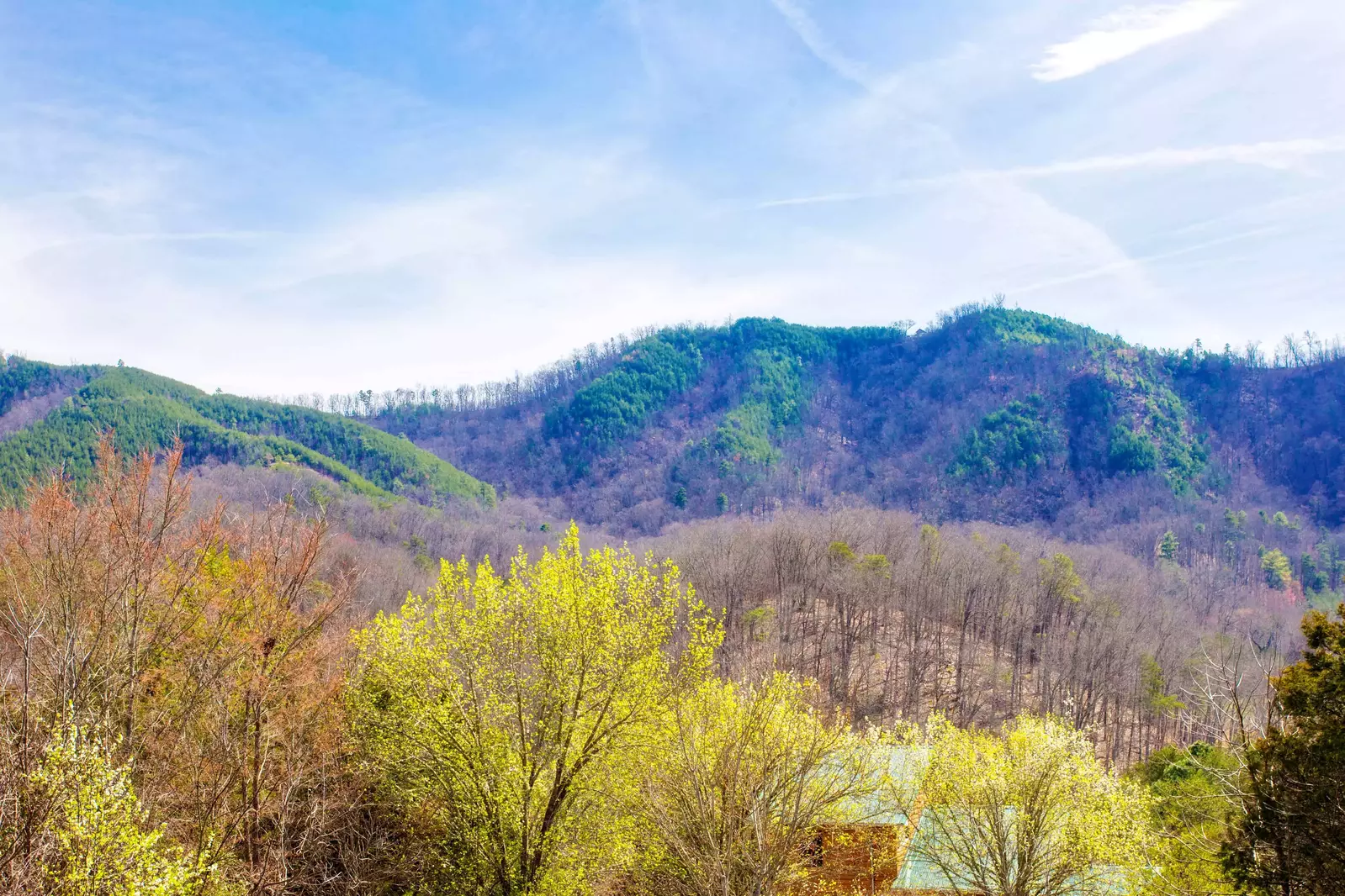 Smoky Bear Lodge