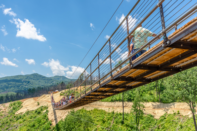 Gatlinburg SkyBridge at Gatlinburg SkyPark