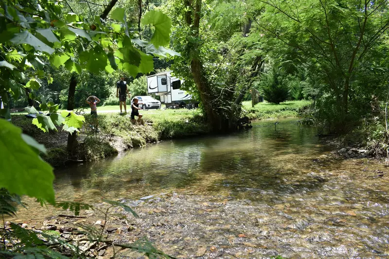 Birds Creek Campground