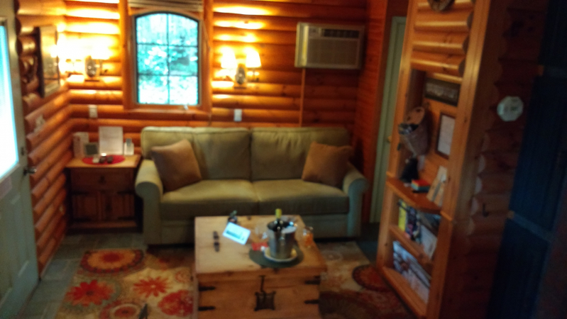 The Treehouse cabin