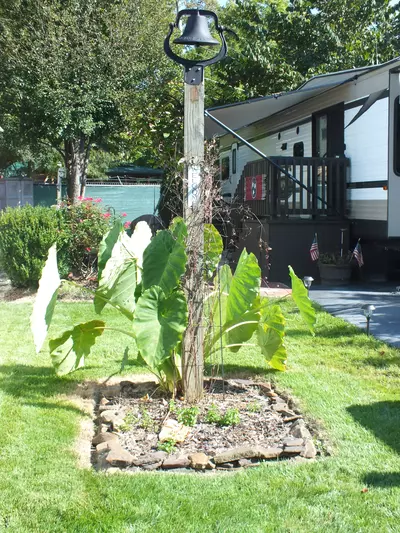Yard