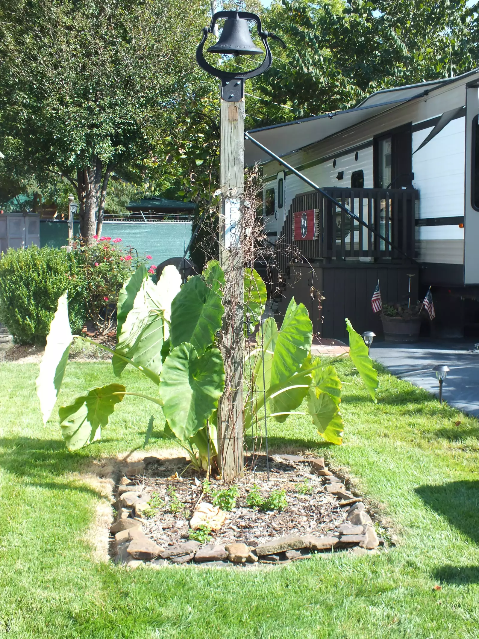 Yard