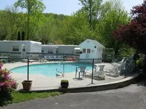 Adult Pool