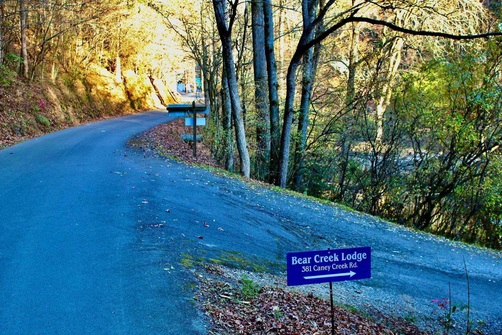 Bear Creek Lodge