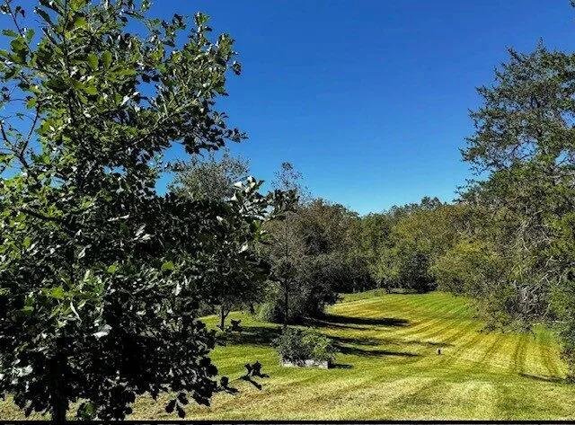 Hilltop Hideaway