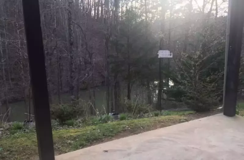 Hummingbird Hideaway