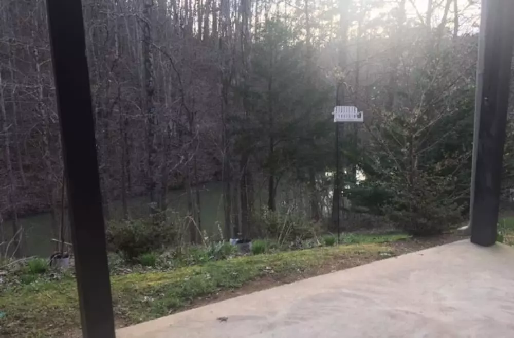 Hummingbird Hideaway