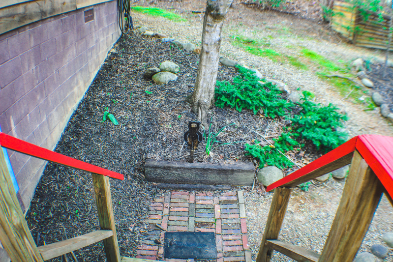 Bear Bottoms
