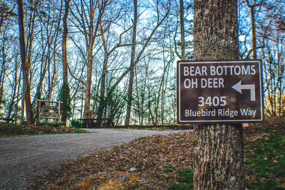 Bear Bottoms