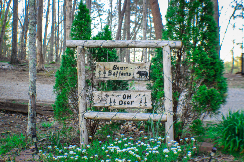 Bear Bottoms