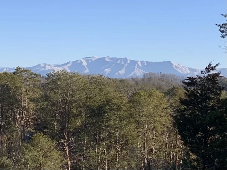 Mountain View Taken from a Hiking Trail
