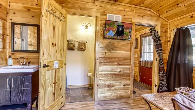 Quaint Mountain Cabin - Hummingbird in a Green Meadow
