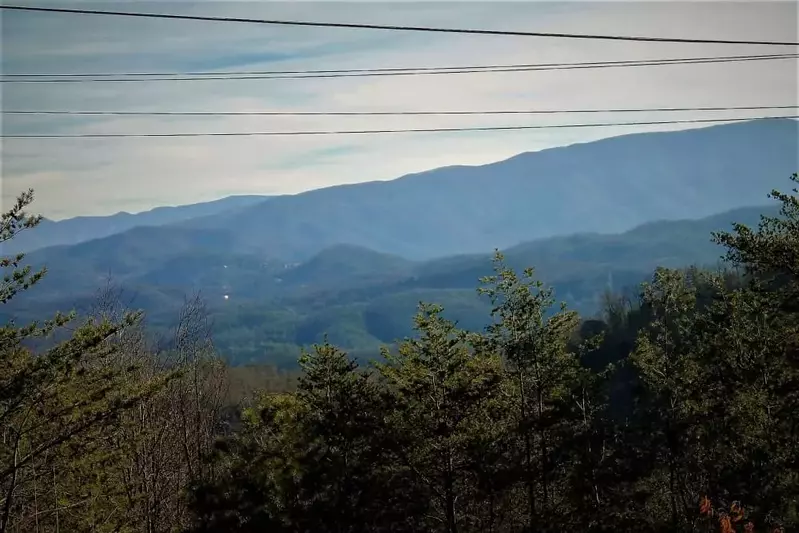 Heart of the Country