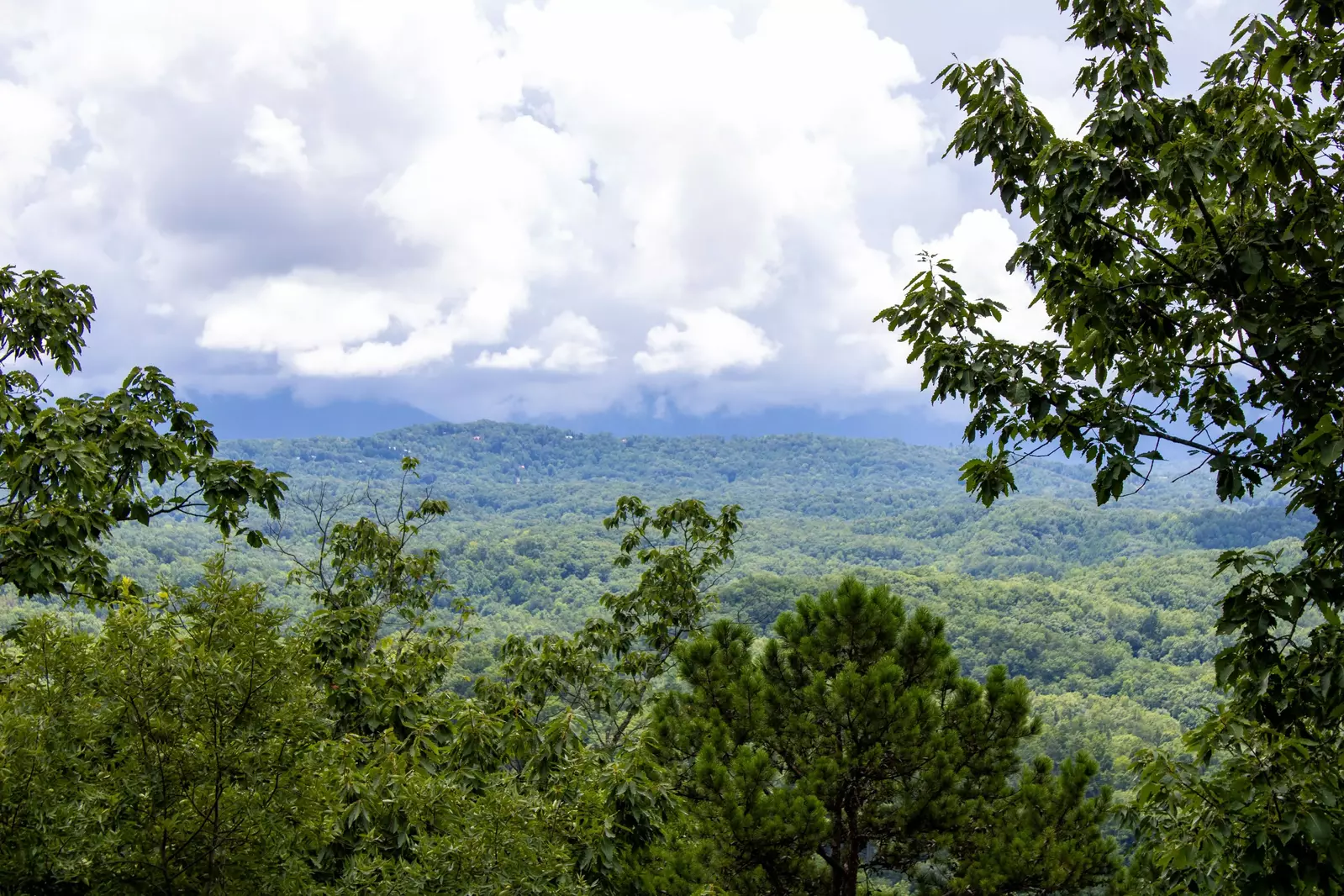 Smokin' View